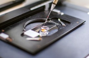 Unter dem Mikroskop wird eine Probe auf einen Objektträger übertragen
